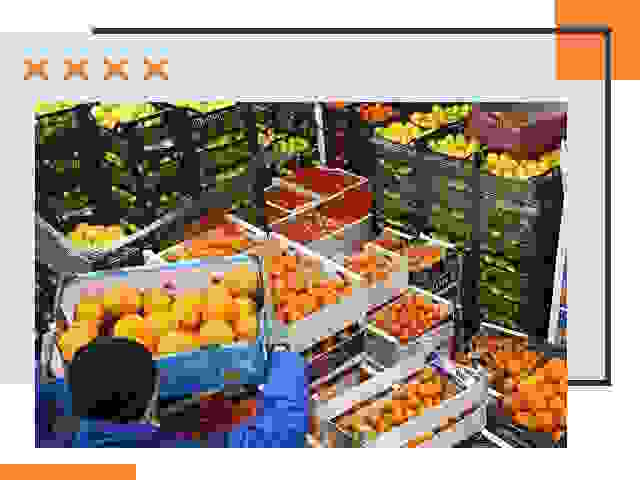 Перевозка скоропортящихся продуктов в Обнинске